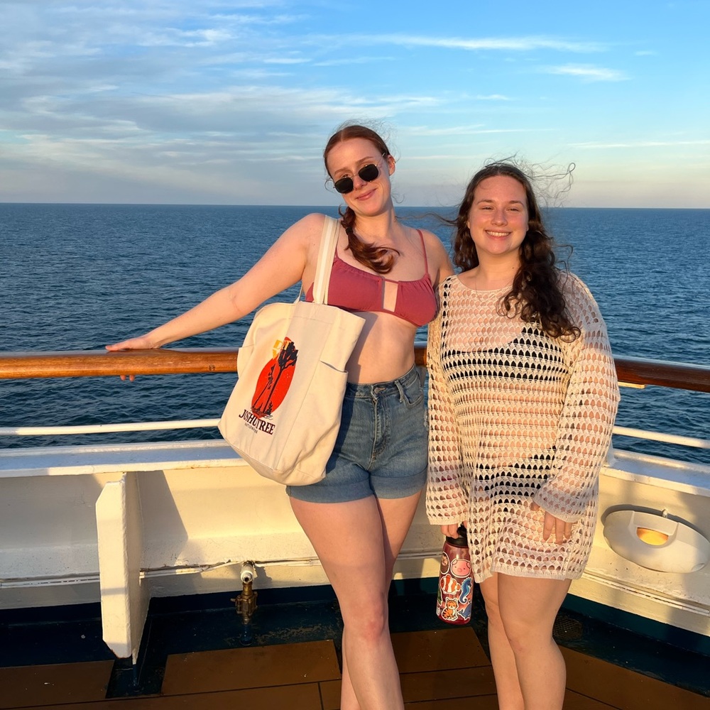 Joshua Tree zippered tote bag